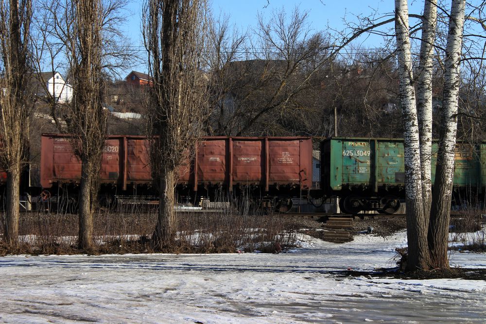Photograph by Светлана Шубина