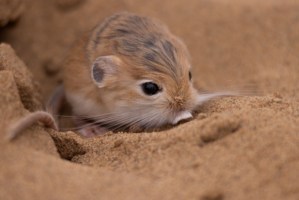 Photograph by Roman Vorobyev