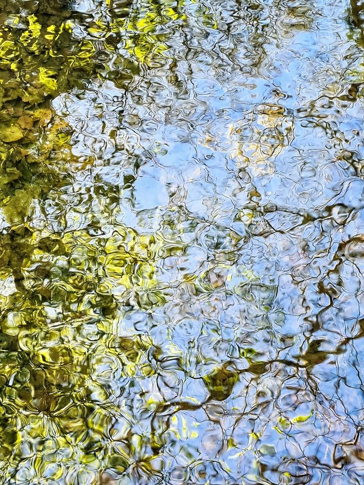 Photograph by Екатерина Народицкая