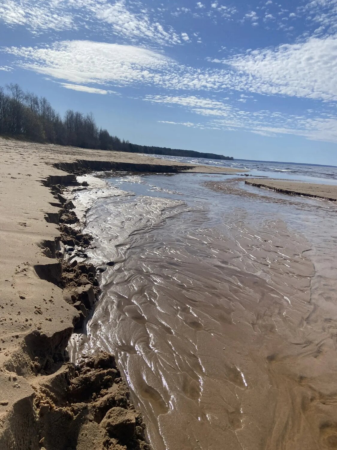 Photo #13566061