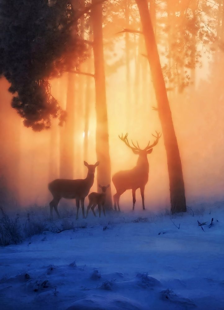 Photograph by Дмитрий Сорокин