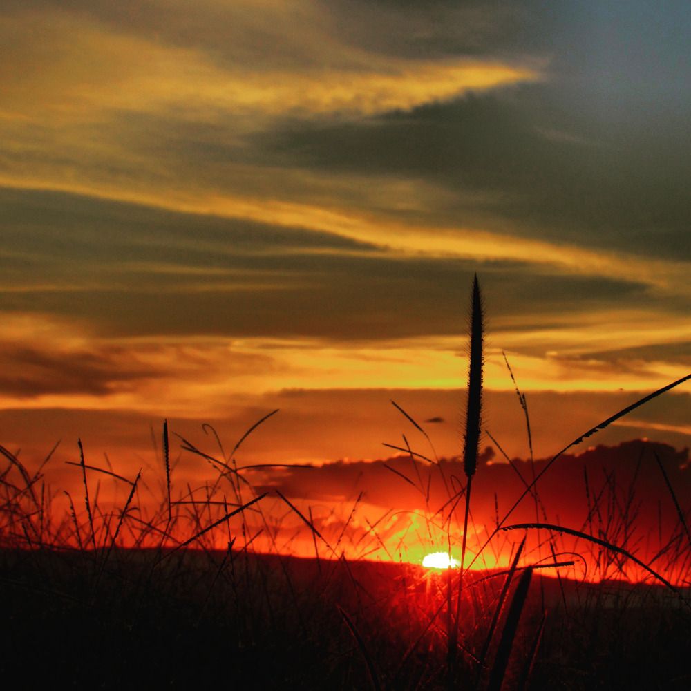 Photograph by ADERLANDIA SALOMAO