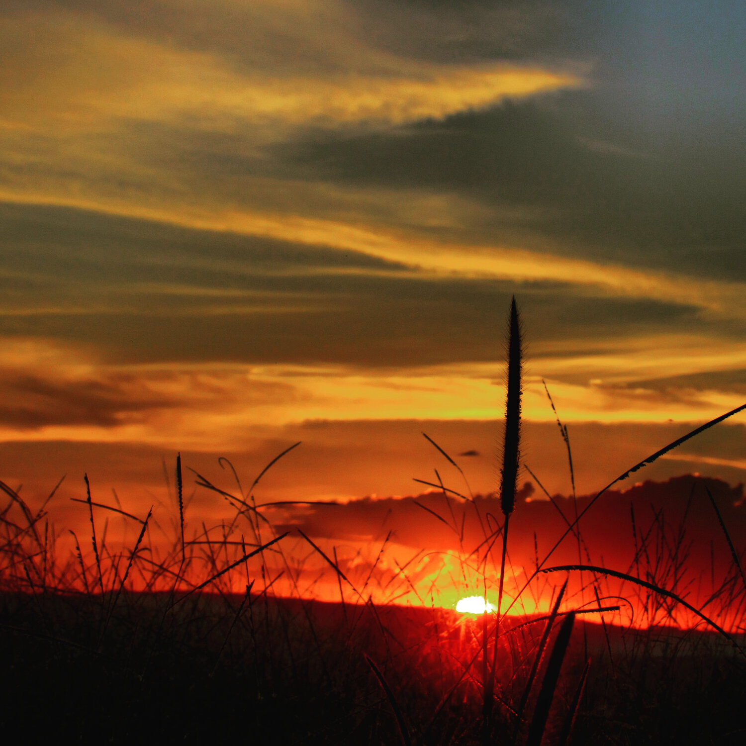 Photo #13566280