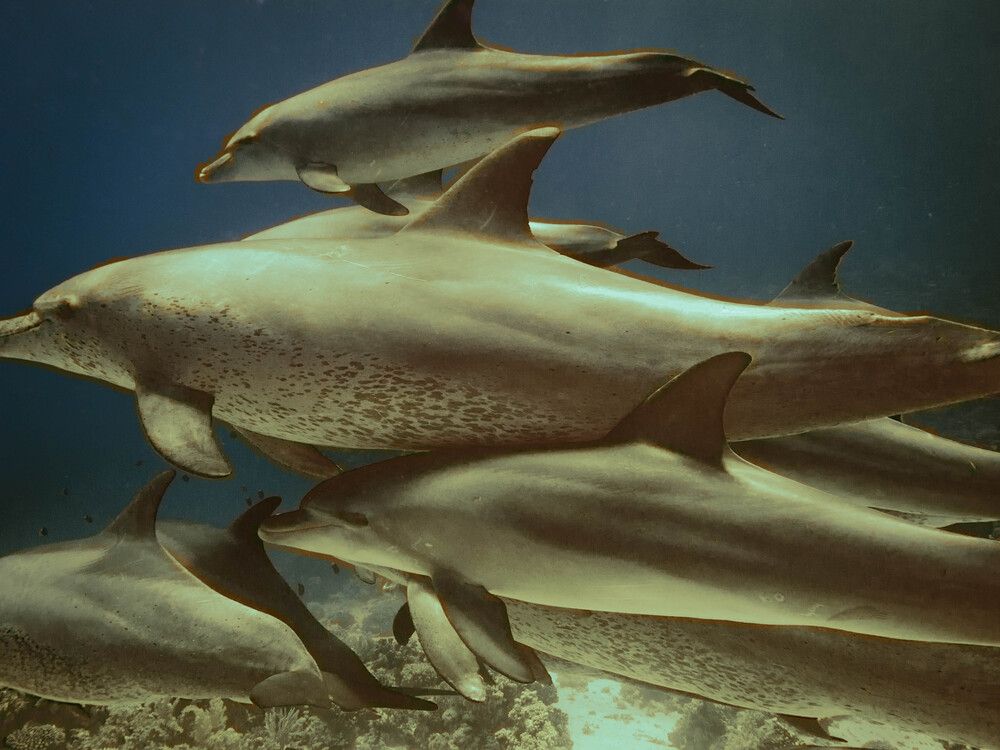 Photograph by Андрей Калинин