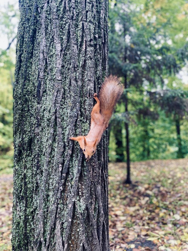 Photograph by Ксения Гулькова