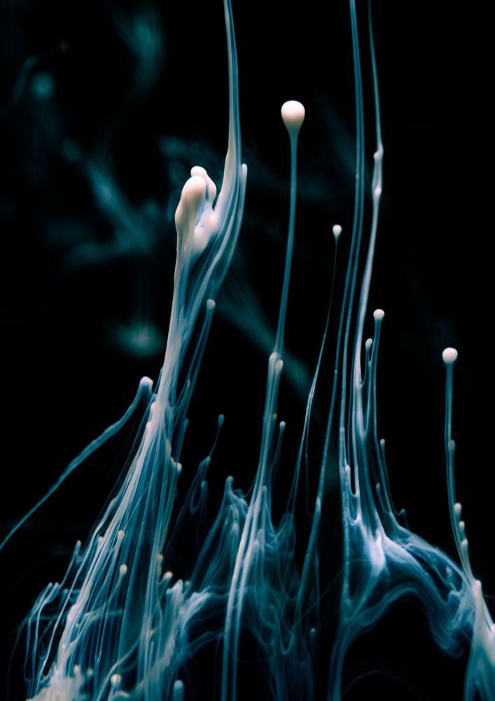 Фотография автора SHIN