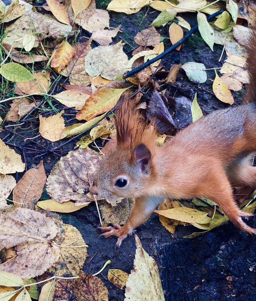 Photograph by Ксения Гулькова