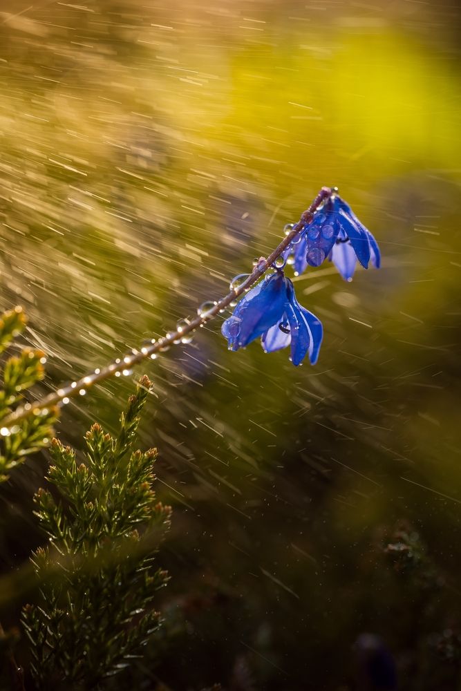 Photograph by Николай Захаров