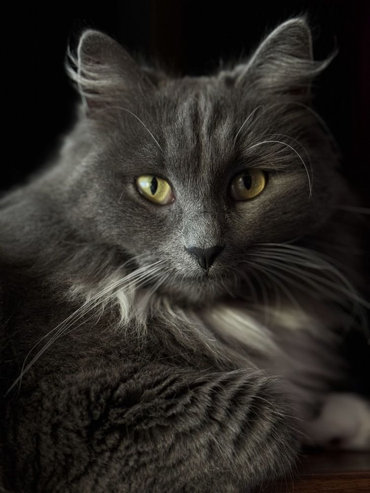 Photograph by Irina Jernits