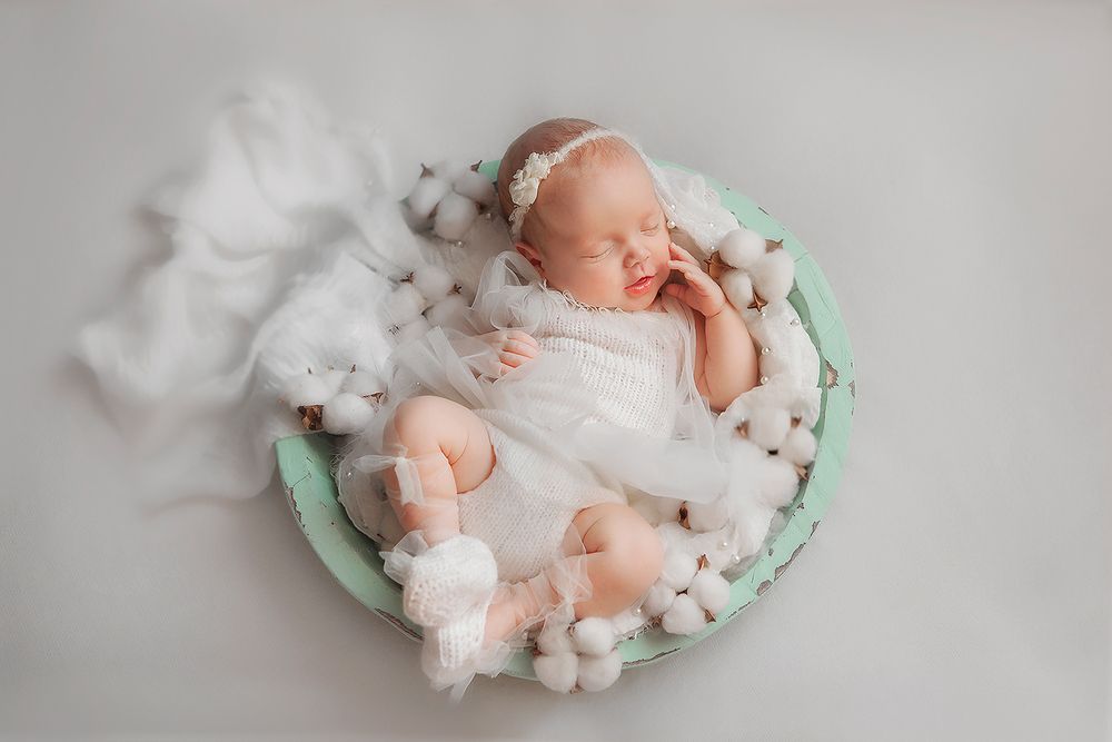 Photo #13566570