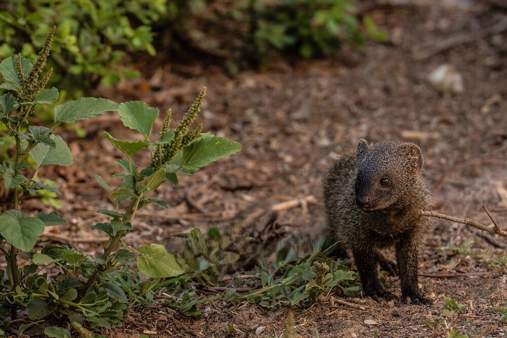 Photograph by Igor Shulkin
