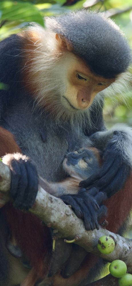 Mother\'s Love