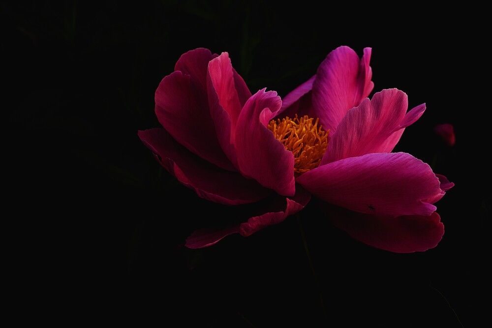 Photograph by Марина А-Б