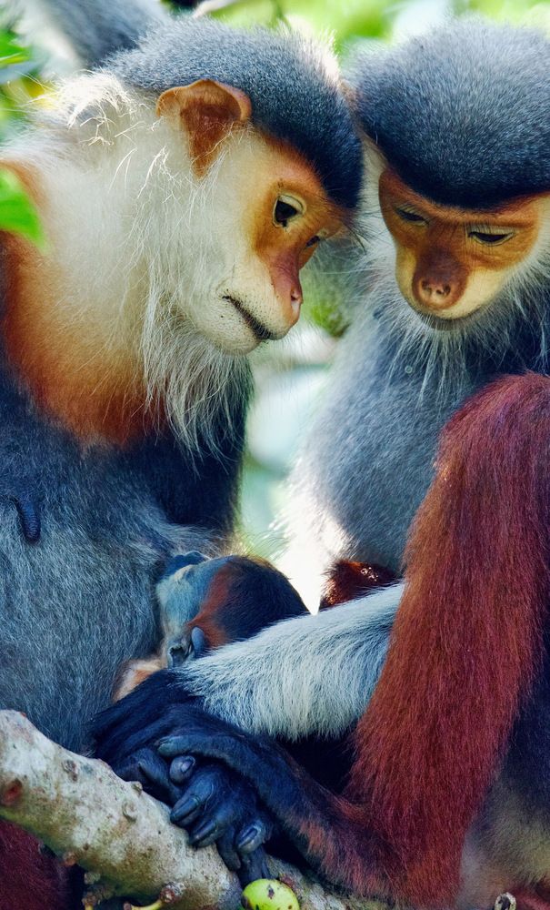 Photograph by bình nguyễn