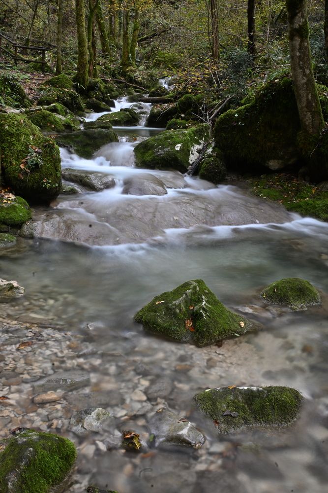 Photo #13566968