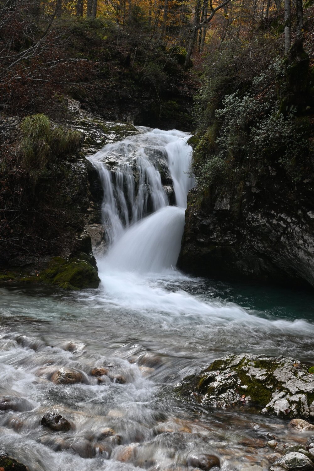 Photo #13566971