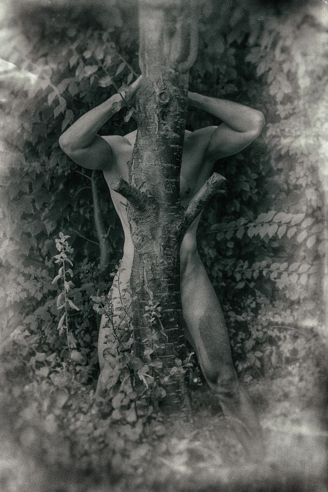 Фотография #13566993