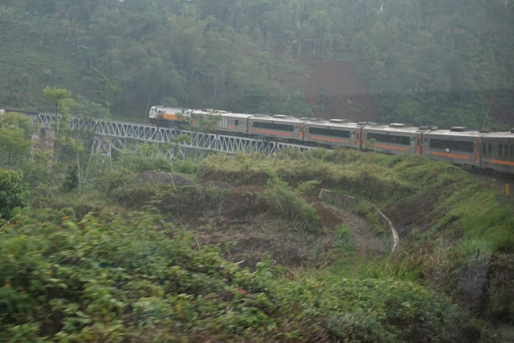 The train and its carriages