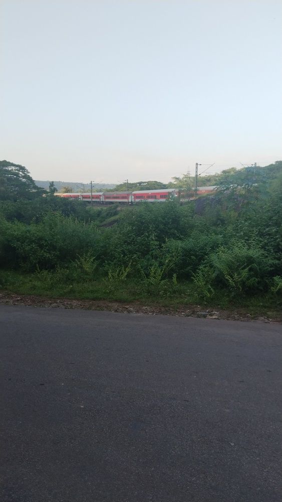Train blending with nature