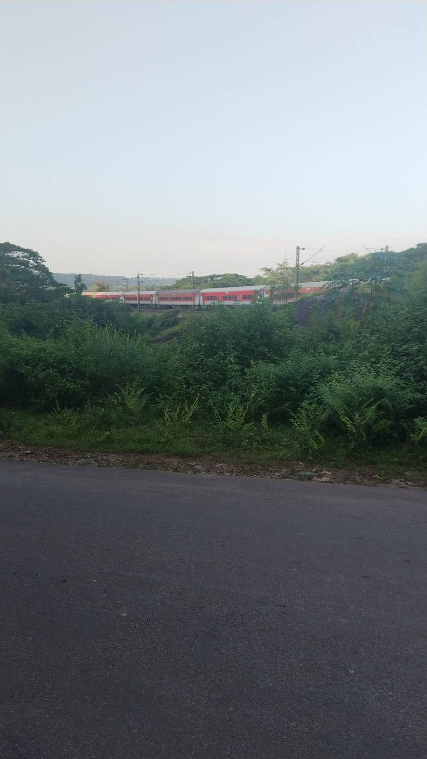 Train blending with nature