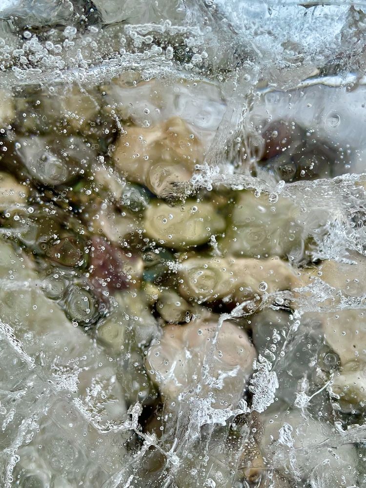 Photograph by Светлана Хохлова