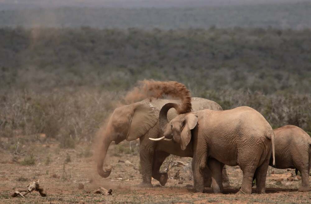 Photograph by Deon Oosthuizen