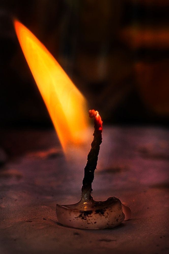 The Last Hope
