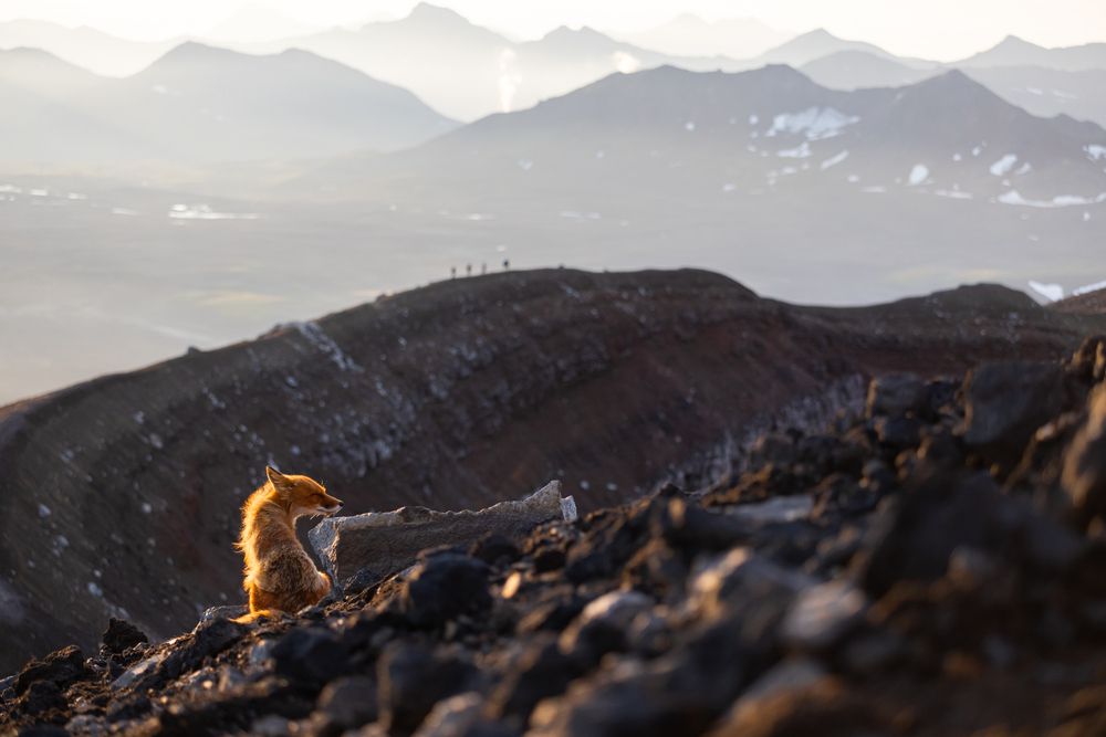 Photograph by Roman Vorobyev