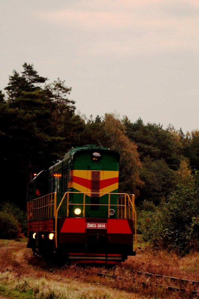 Photograph by Алексей Макаров