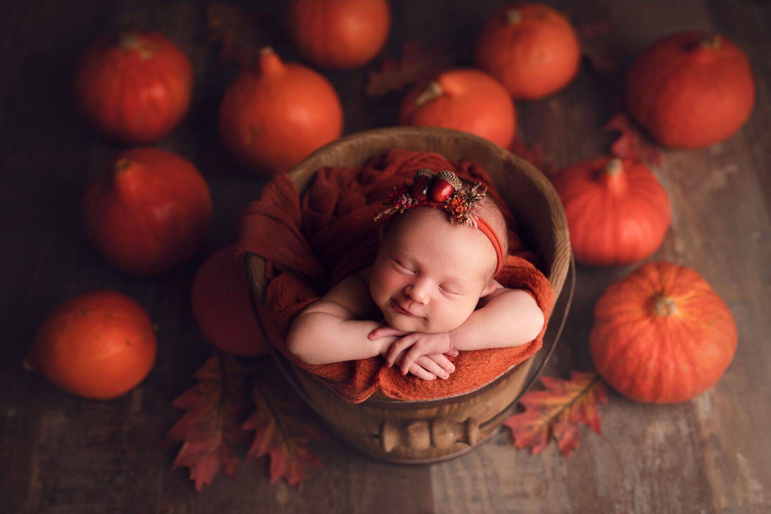 Photo #13568118