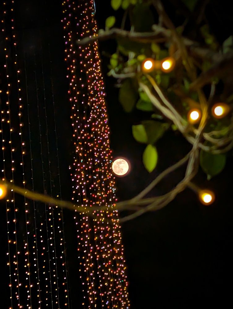 Rolling Moon