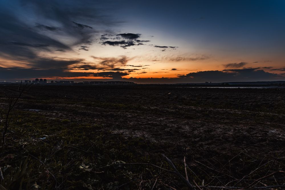 Photograph by Алексей Чеботарев
