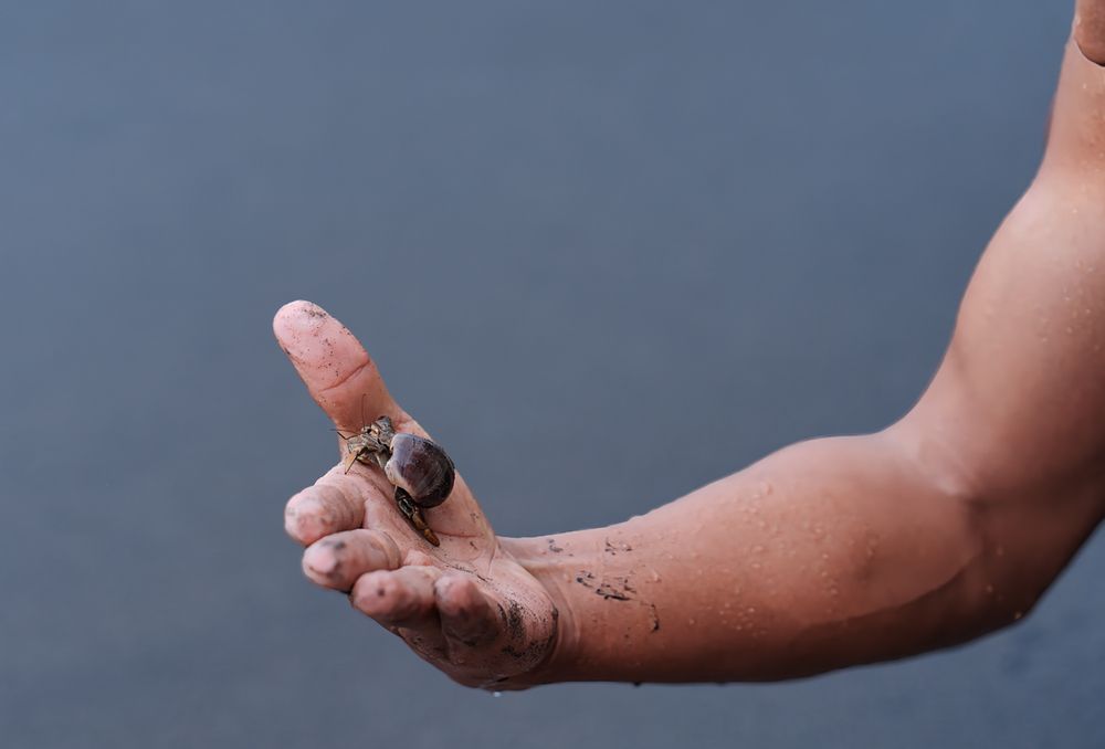 A Tiny Wanderer of the Pacific in Colombia
