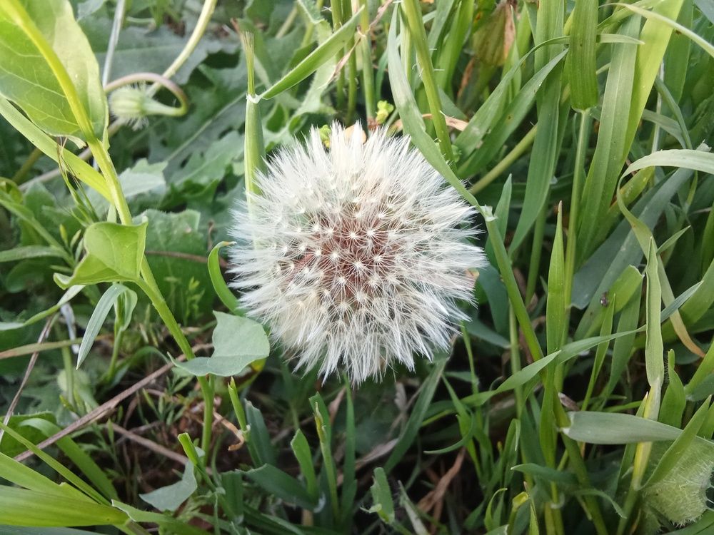 Photo #13568438