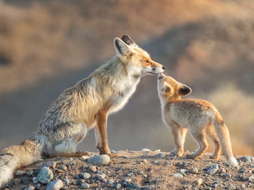 Photograph by Li shuo