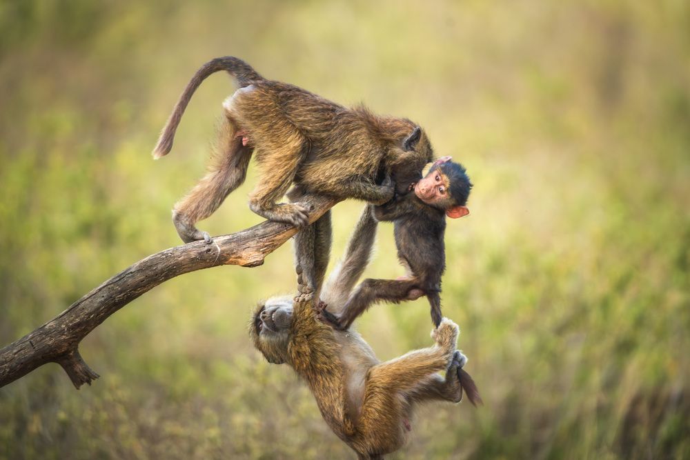Photograph by Li shuo