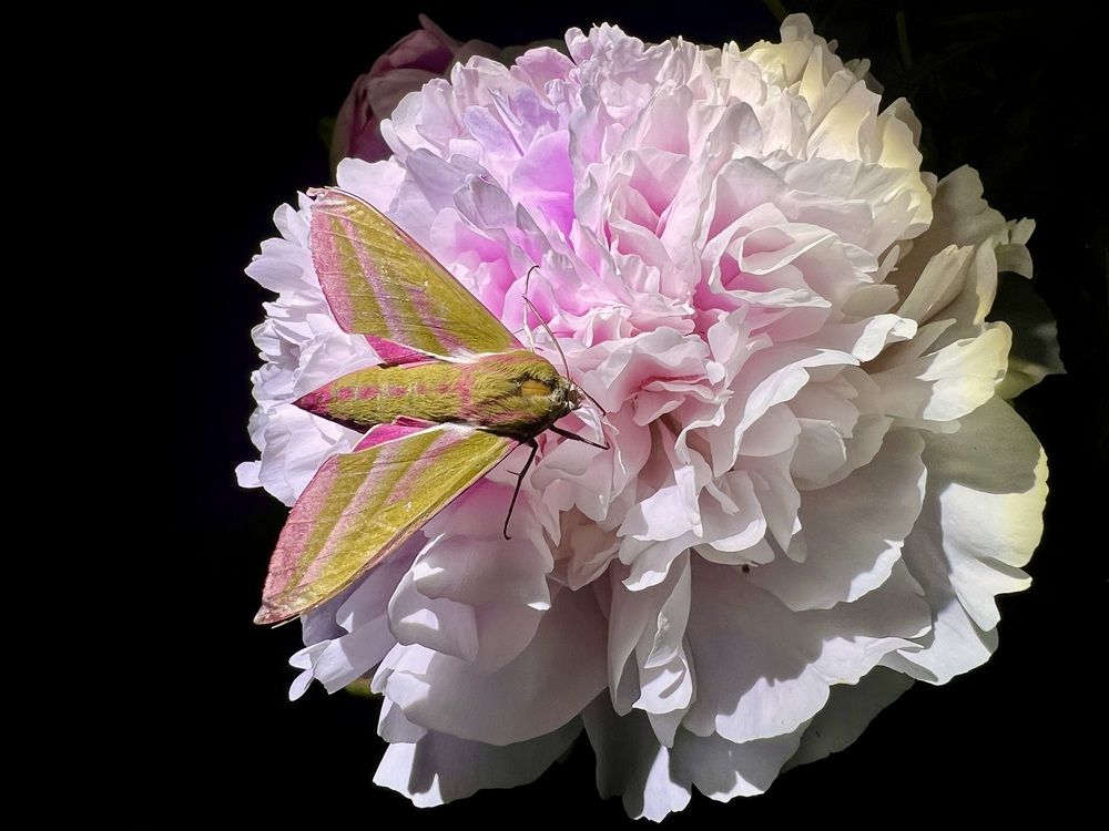 Photograph by Yulia Zhilinskaya