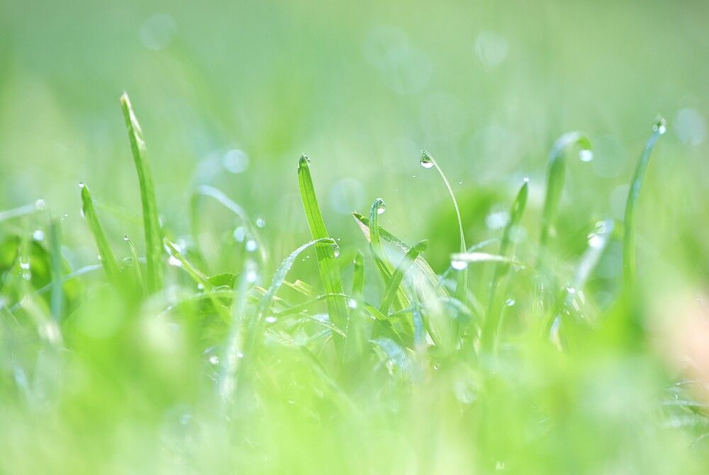 Photograph by Наталья Сорокина