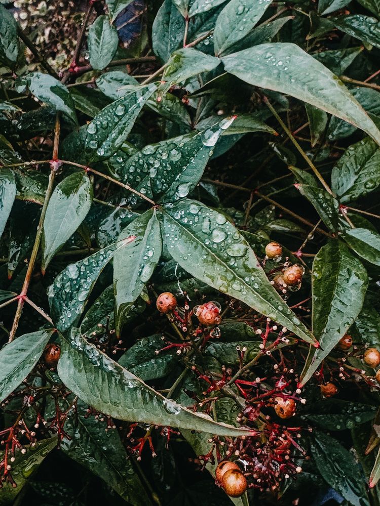 Photograph by Oksana Yurasova