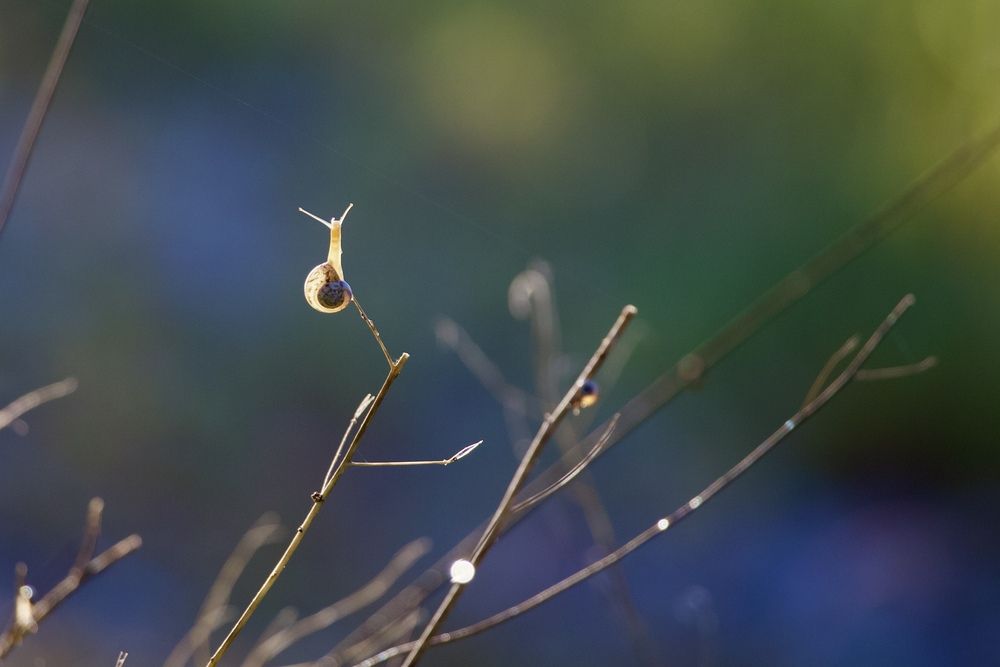 Photograph by Борис Захаров