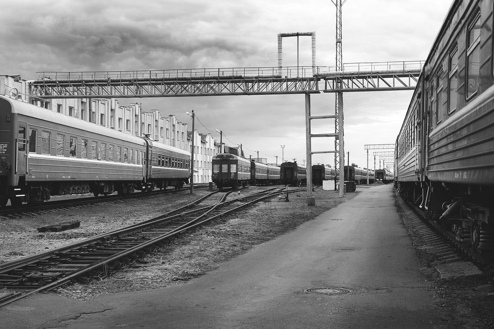 Photograph by Алексейчик Ольга