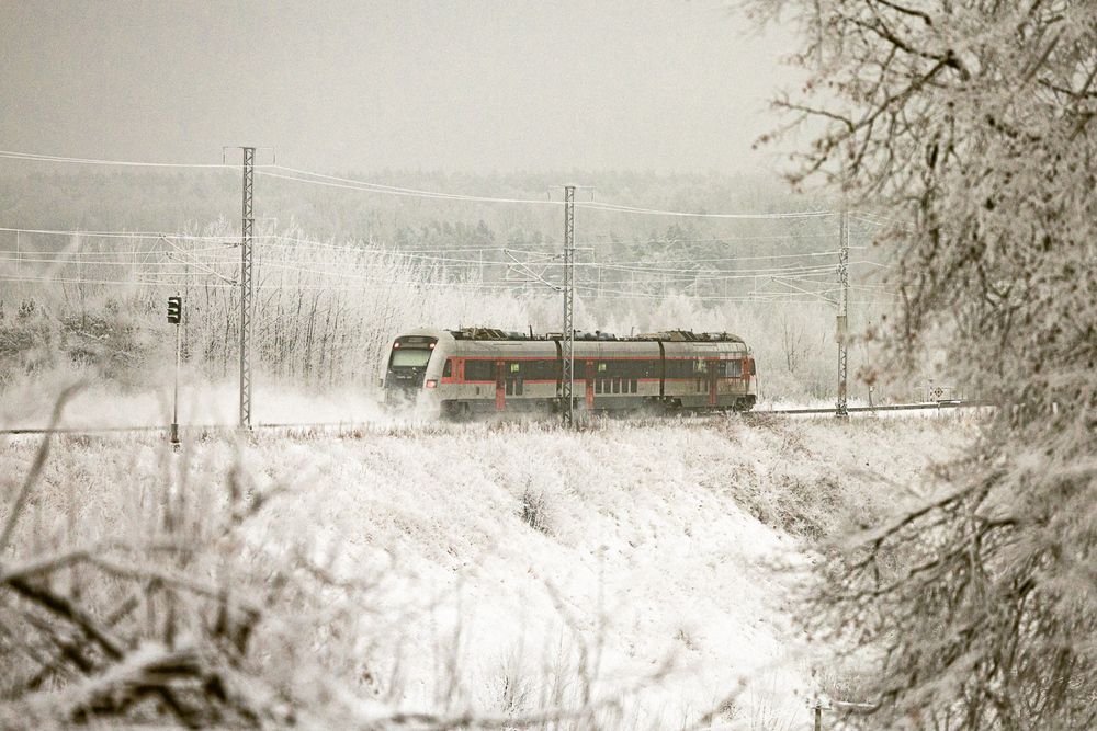 Photograph by Aleksandras Guzauskas