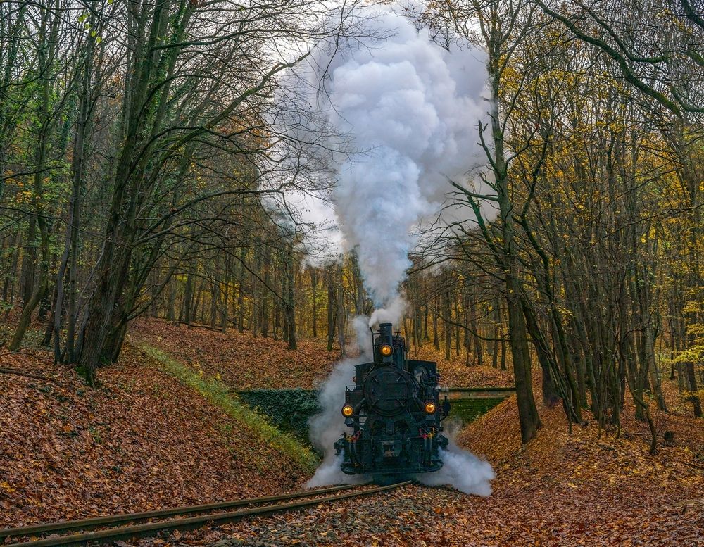 Photograph by Gabor Medgyesy