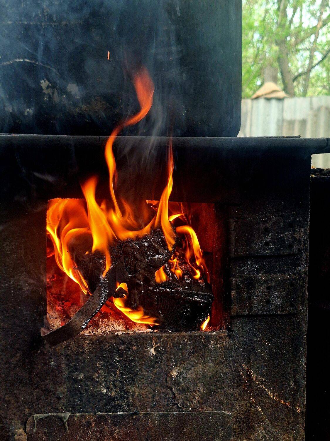 Photo #13569051