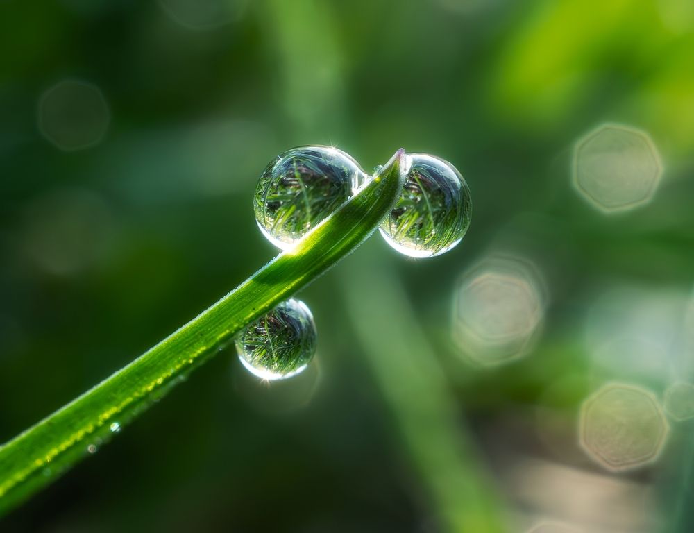 Photograph by Елена Харитонова