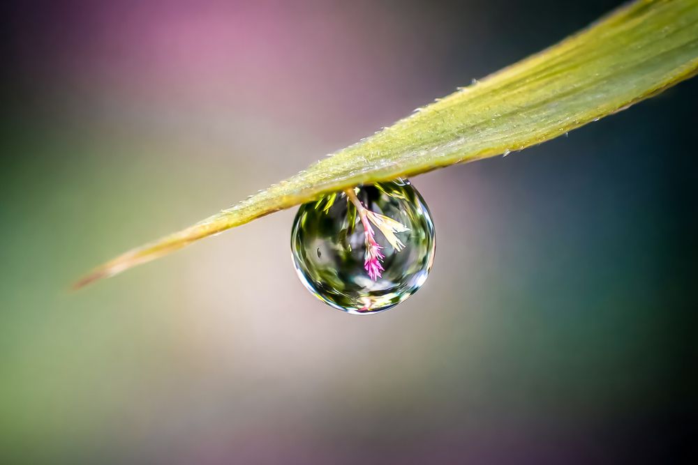 Photograph by Dewindu H. Fernando