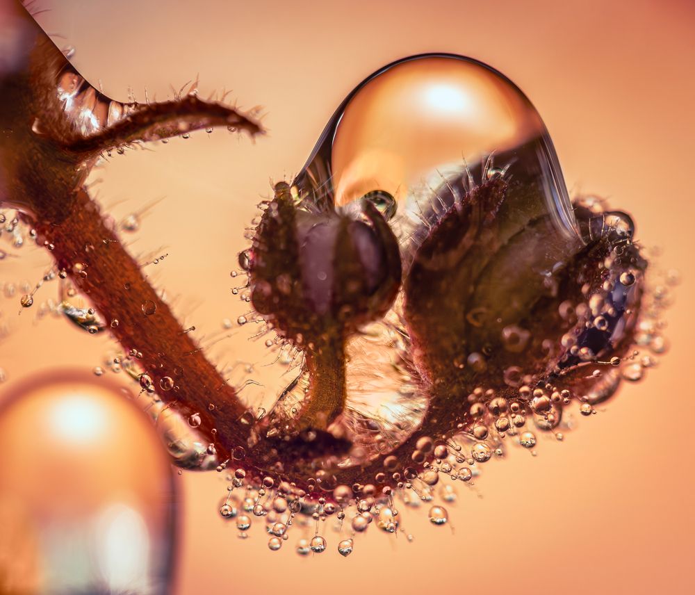 Photograph by Дмитрий Огольцов