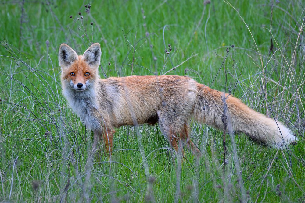 Photograph by Вячеслав Ладанов