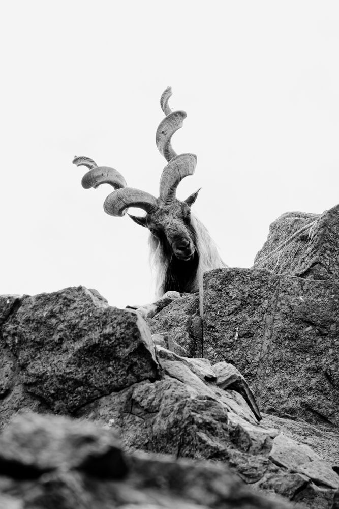 Photograph by Арсений Крят