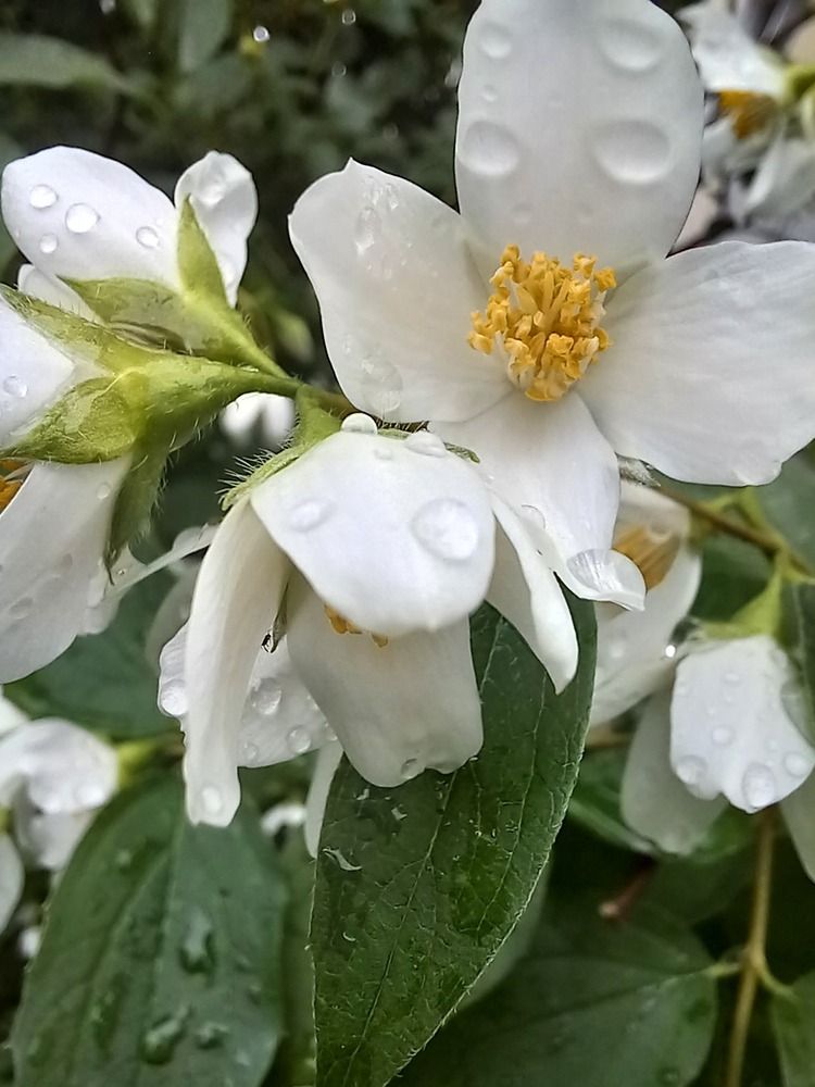 Photograph by Людмила Сотникова